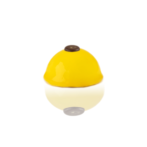 Limone e Frutti di Bosco