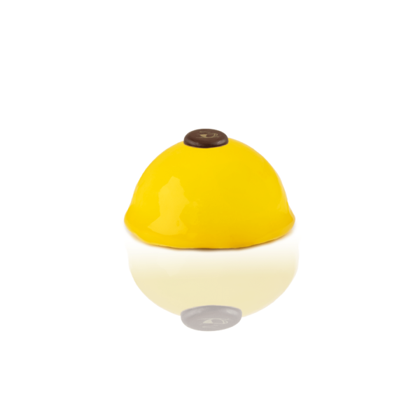 Limone e Frutti di Bosco